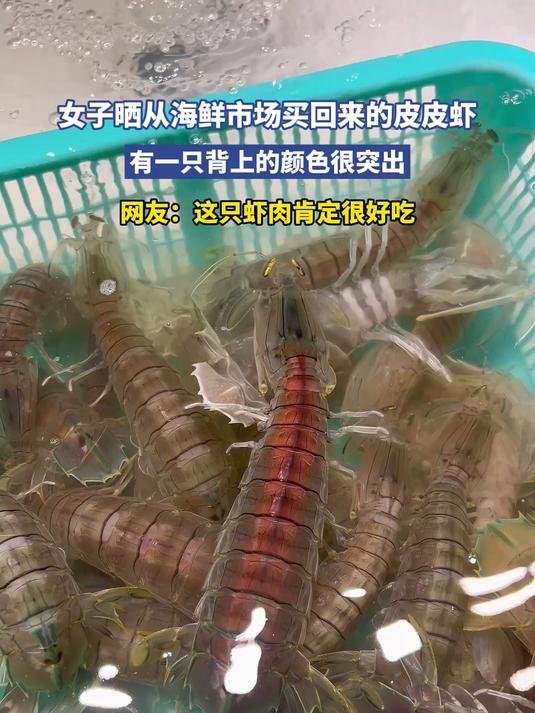 女子晒从海鲜市场买回来的皮皮虾，有一只背上的颜色很突出