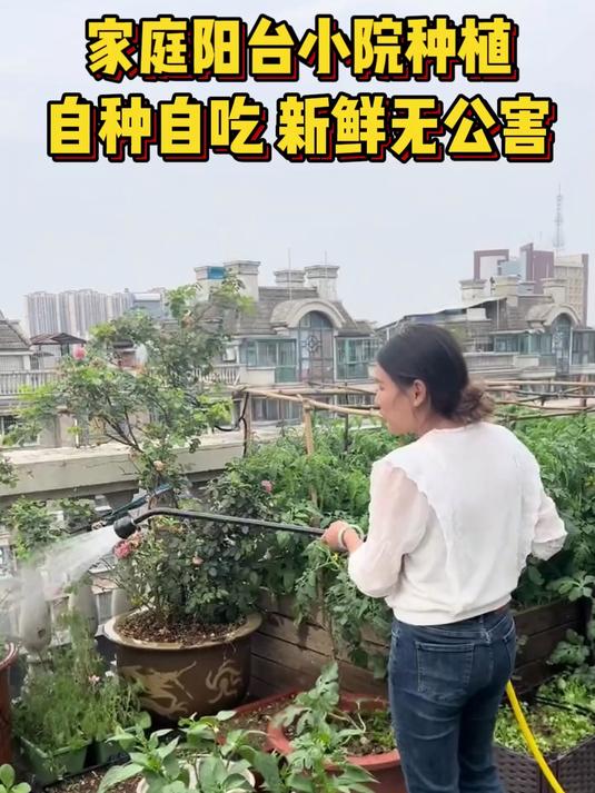 六月适合种植的蔬菜有哪些?喜欢的主页橱窗有,家庭种植!
