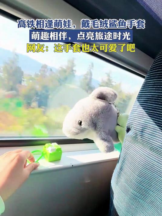 高铁相逢萌娃,戴毛绒鲨鱼手套,萌趣相伴,点亮旅途时光!
