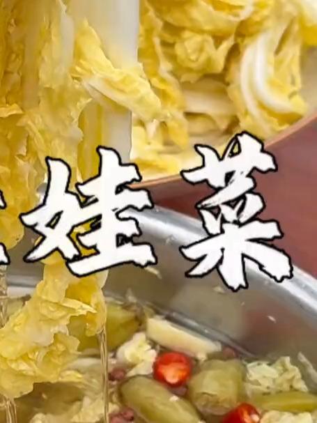 泡椒娃娃菜做法 高原鲜货娃娃菜，裹着泡椒香登场！脆嫩爽口