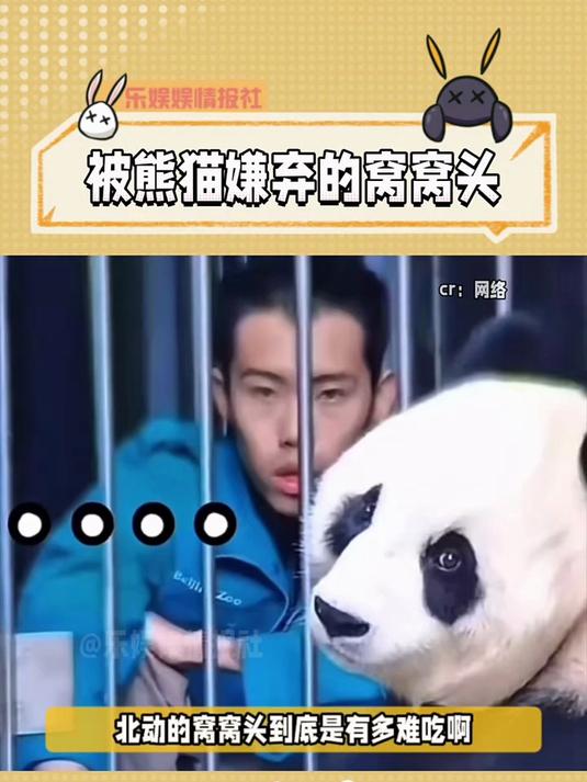 《北动的窝窝头到底是有多难吃》搞笑 萌宠 来吸大熊猫