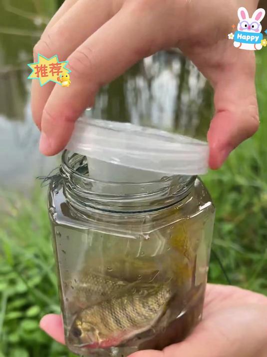 假期给孩子安排捕鱼瓶,一瓶子下去抓了好多小鱼,真的太好玩了!