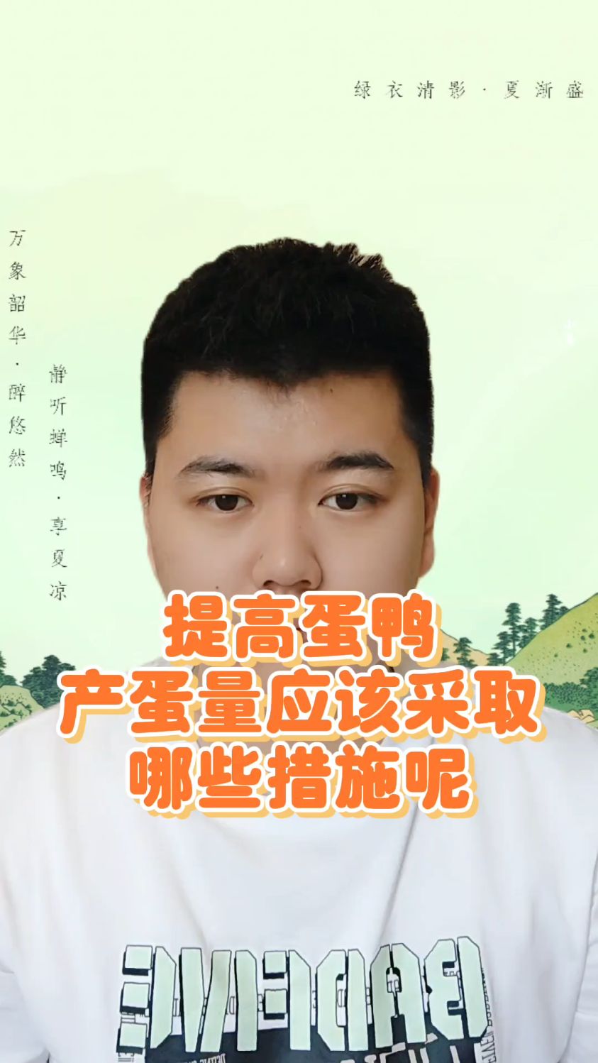 #如何提高鸭子产蛋量鸭子吃什么产蛋率最高鸭子吃什么产蛋率比较高蛋鸭产蛋率上不去的