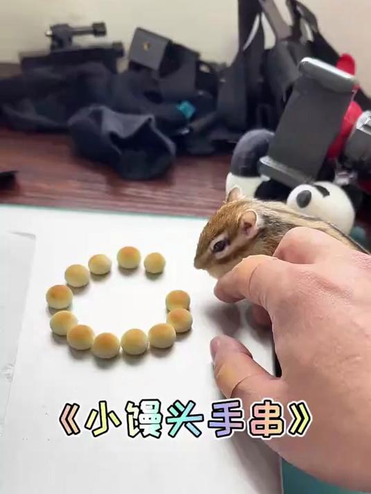 旺仔小馒头手串!