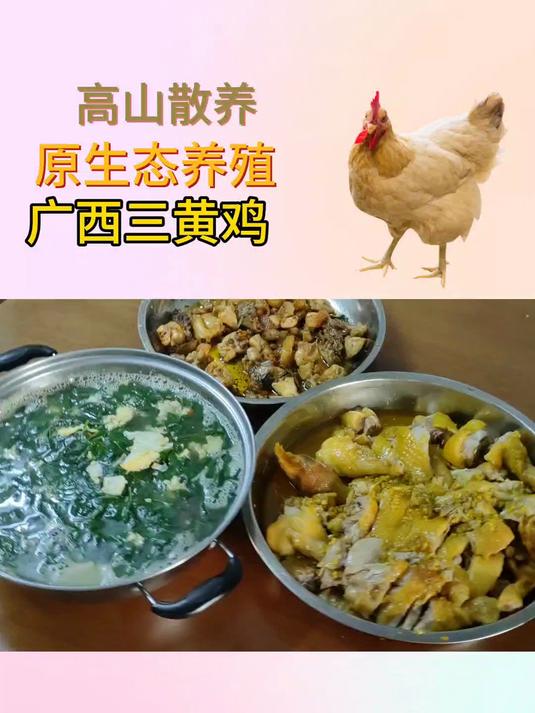 微波炉也能做焗鸡?手把手教你复刻广西三黄鸡风味