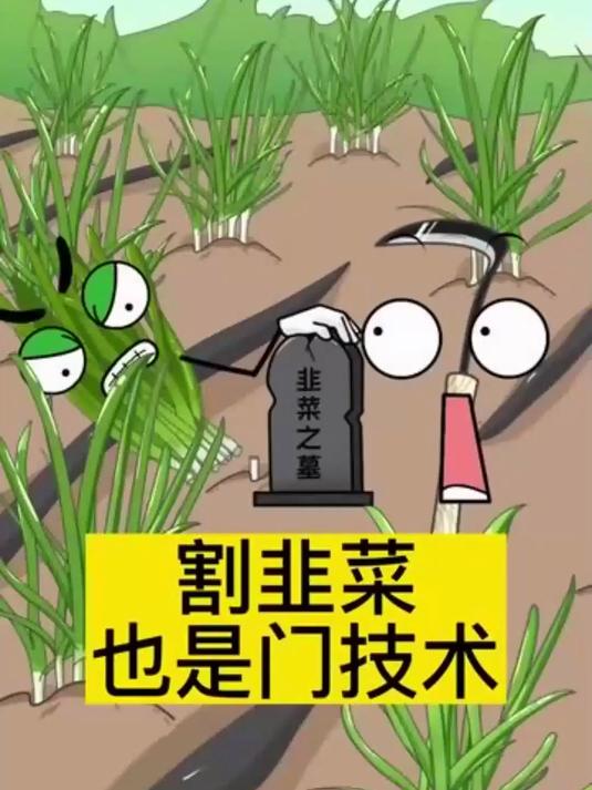 割韭菜也是门技术