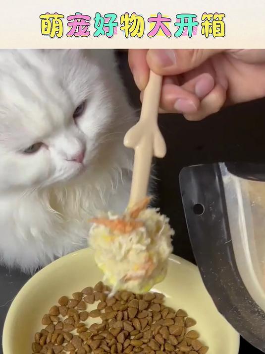 宠物零食新选择,北兜兜冻干卵磷脂营养满分!