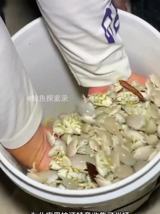 户外捕鱼：渔民用沙蚤钓上了一条五斤左右的梭鱼