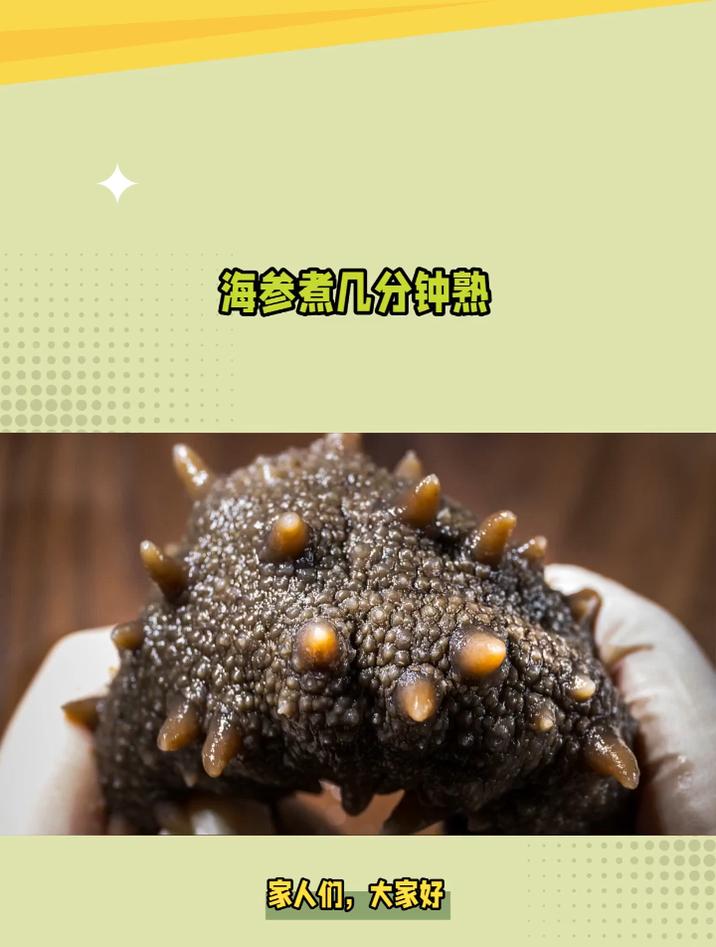 海参煮几分钟熟?