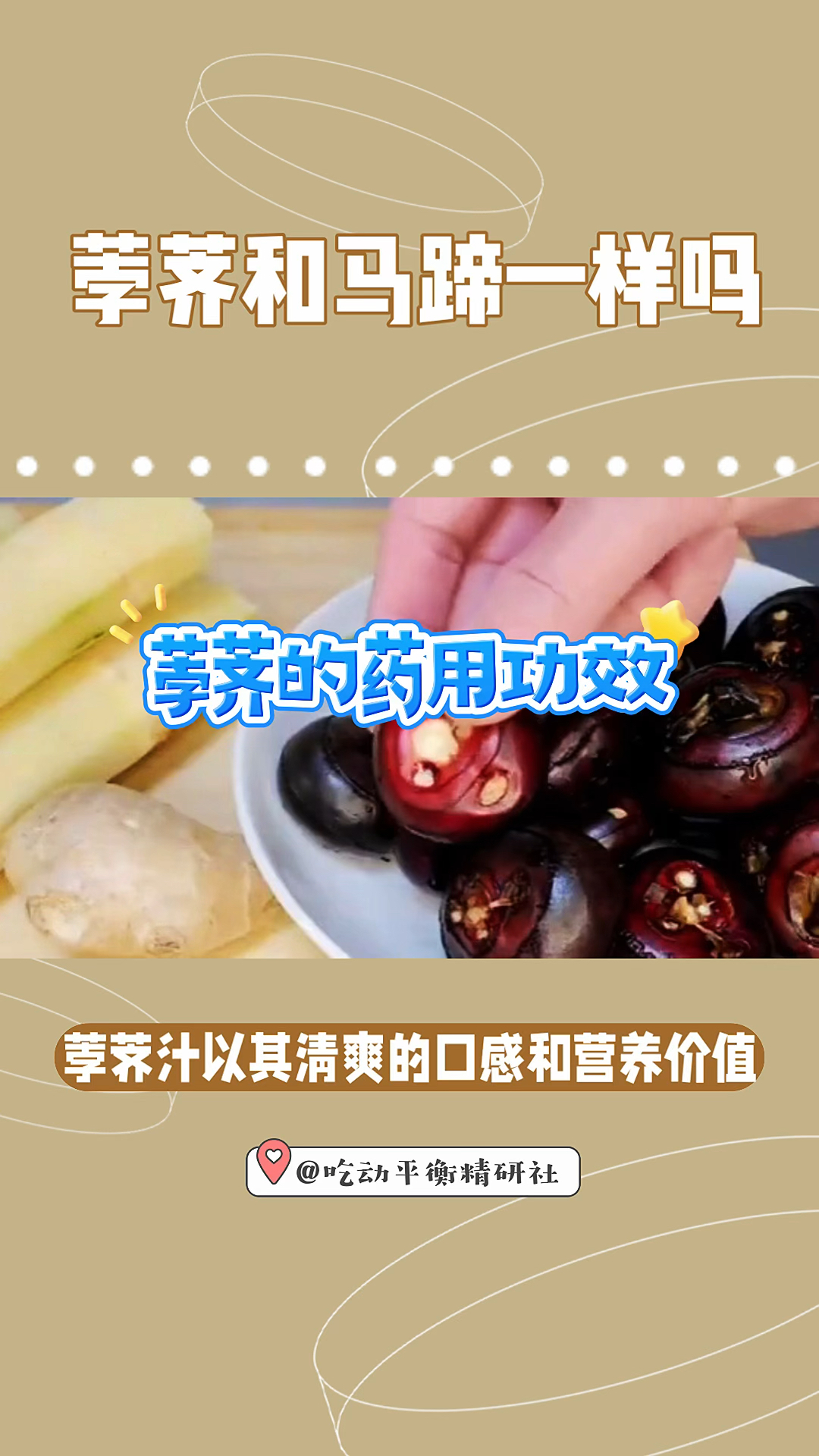 荸荠的药用价值和禁忌
