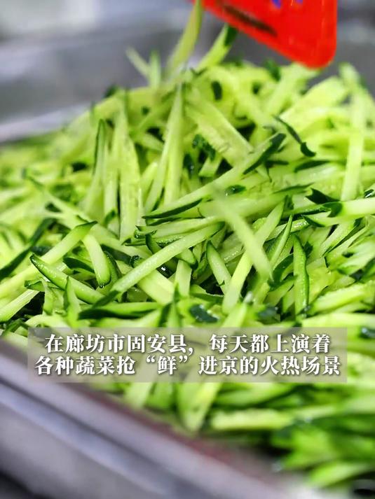 活力中国调研行·河北篇丨全程冷链！“河北净菜”新鲜进京