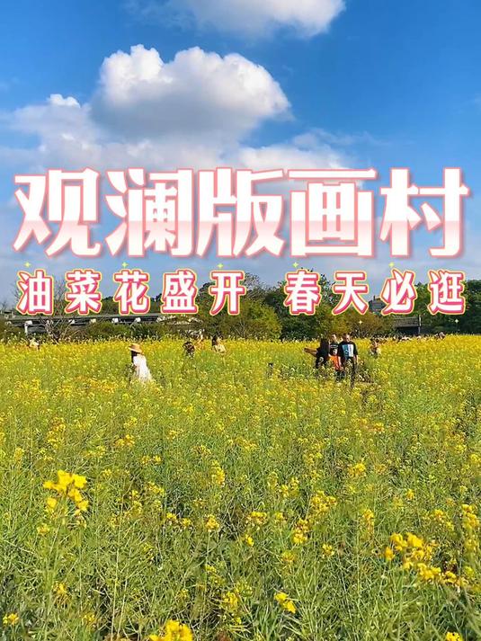 春日限定!观澜版画村油菜花宝藏打卡地