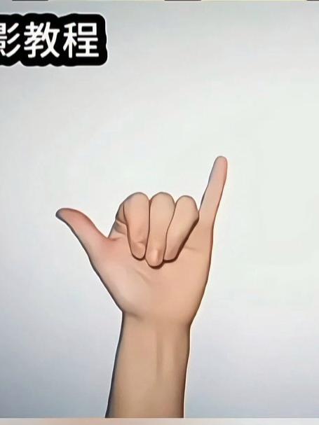 有趣的手影舞教学！隔着屏幕都觉得手抽筋手指打结