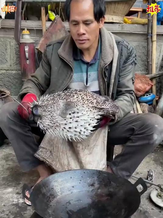 平民养生汤膳大全，做法简单易学，用家常食材做好日常食补