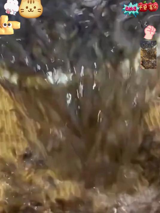 高钙小虾皮,替代鸡精味精,天然提鲜超安心