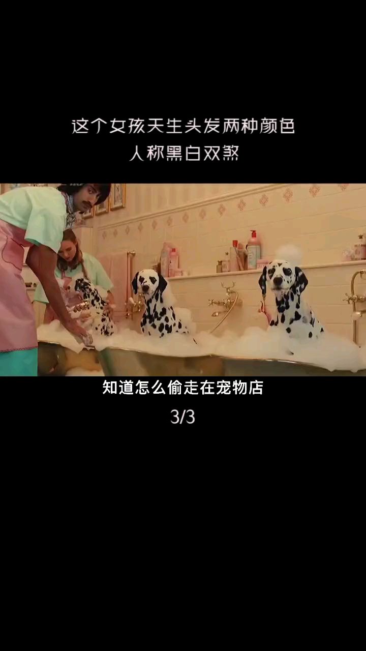 《黑白魔女库伊拉》好电影片段分享三