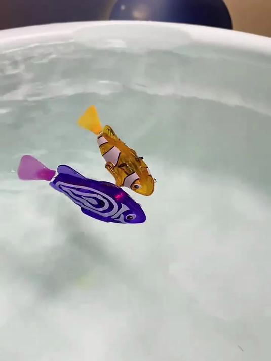 中秋戏水新风尚!电动仿真发光鱼,超有趣!