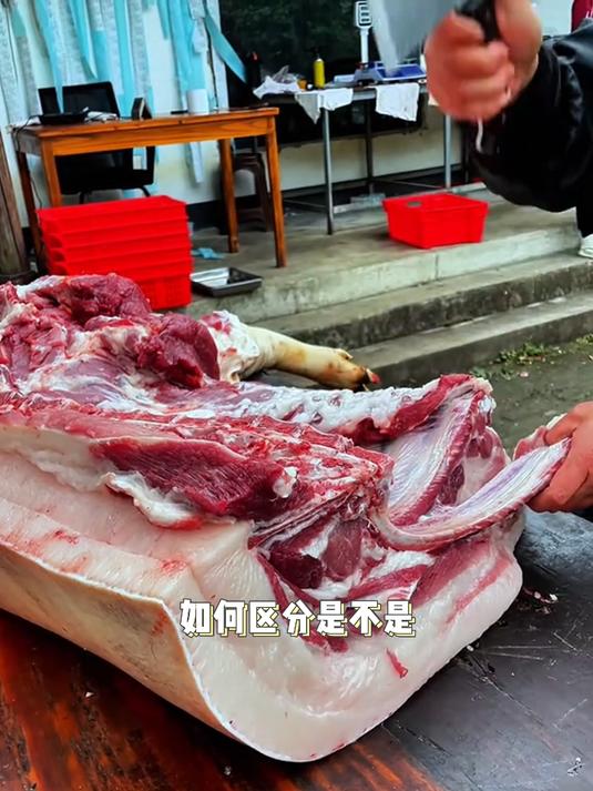 如何区分是不是土猪肉呢?