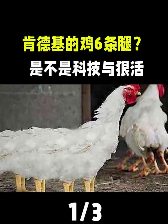 从孵化到上桌只需45天?速成鸡到底是什么鸡,它对人体有害吗