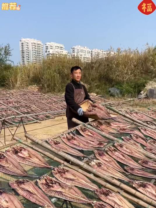 烙着吃的一卤鲜鲐鲅鱼干吃起来会更香肉质更肥厚