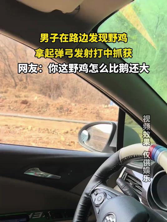 男子在路边发现野鸡,拿起弹弓发射打中抓获