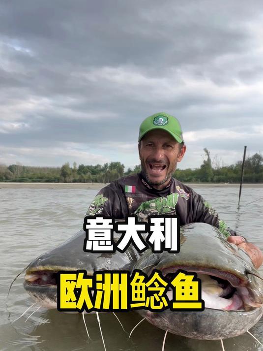 这里位于意大利，当地人钓了一条巨大的鱼，这种鱼叫欧洲鲶鱼