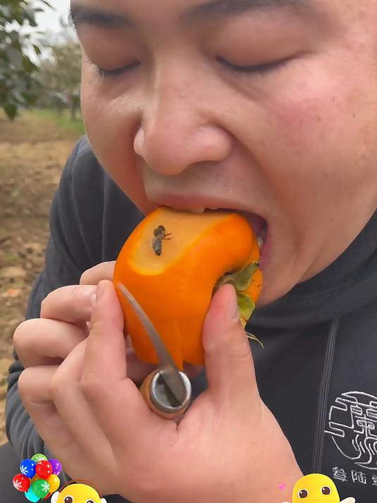 嘎嘣脆甜的巧克力脆柿子真好吃