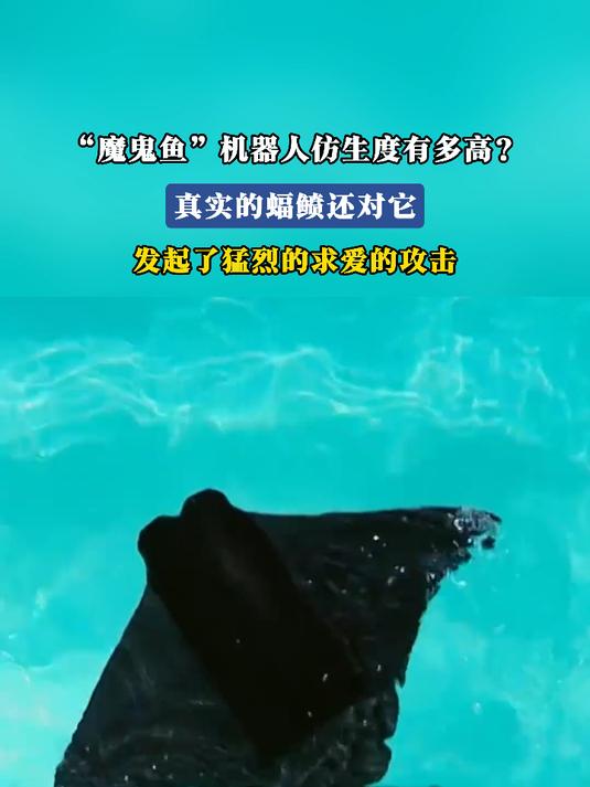 西工大“魔鬼鱼”机器人仿生度有多高?