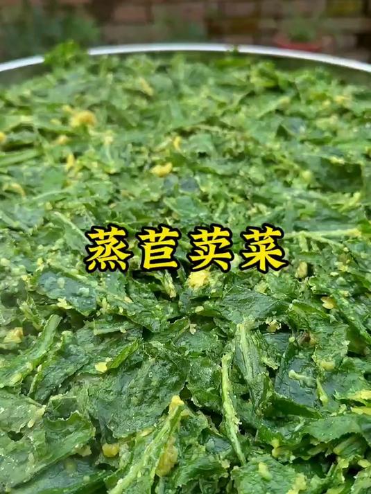 蒸苣荬菜,我们这也叫苣苣(曲曲)菜,这样蒸不粘不坨,清香美味