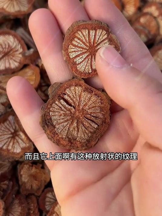 来自云南的深山老藤血塞通,每天一杯,泡水喝好处多多哟!