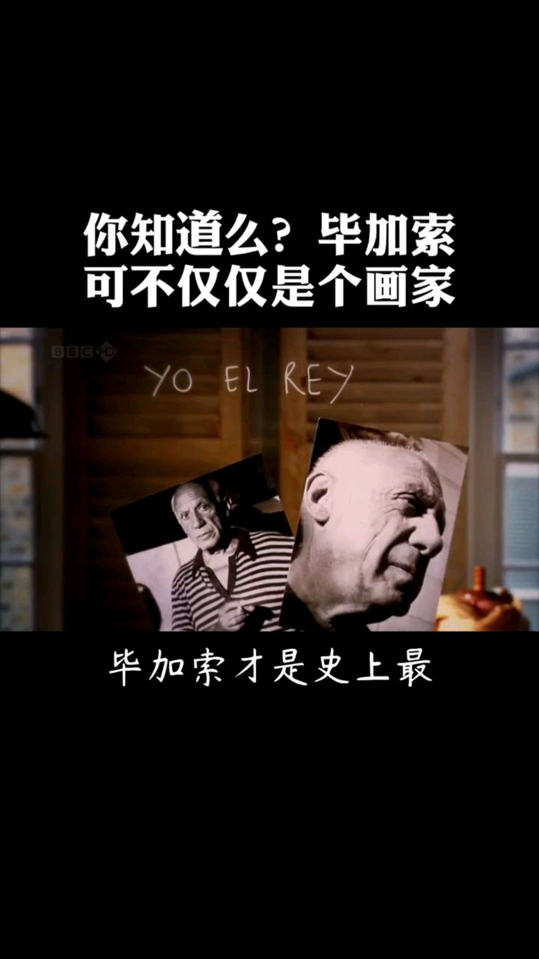 毕加索不仅仅是个画家