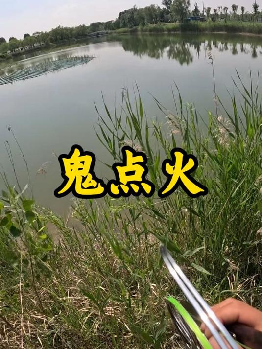 甲鱼枪打甲鱼全过程