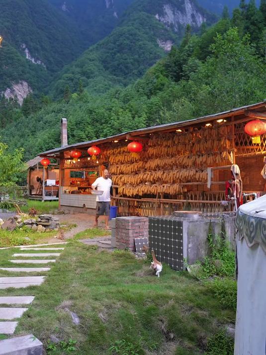 夏日炎炎，简简单单整个美蛙鱼头