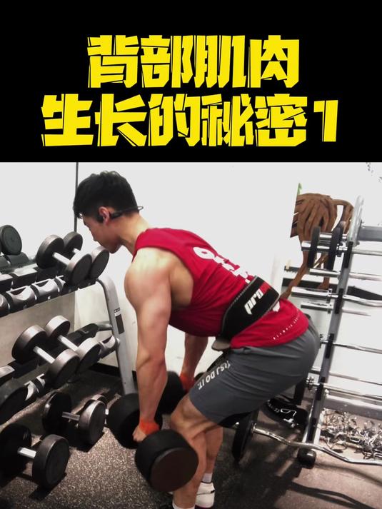 背部肌肉生长的秘密，划船动作要领解析