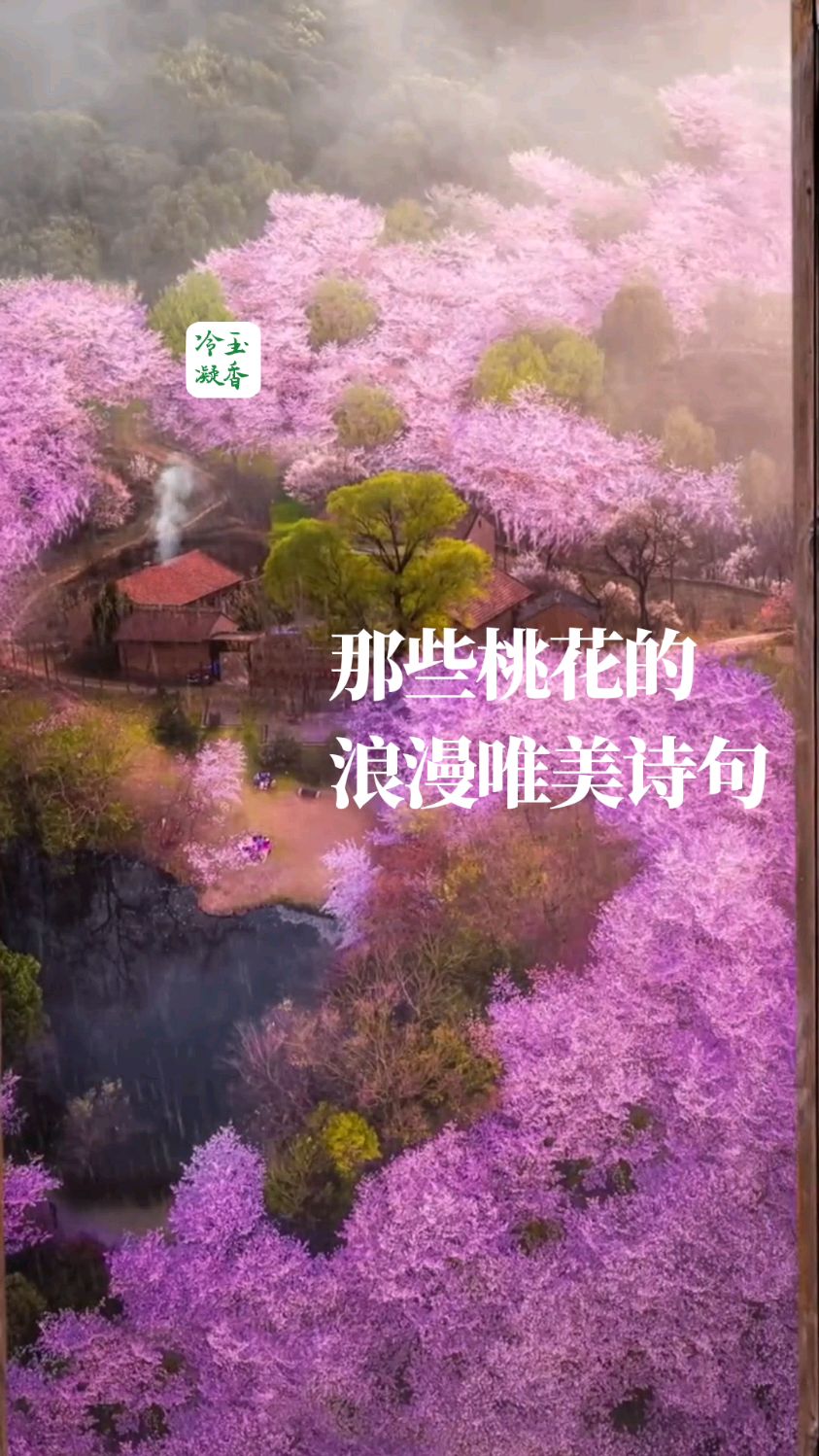 那些桃花的浪漫唯美诗句