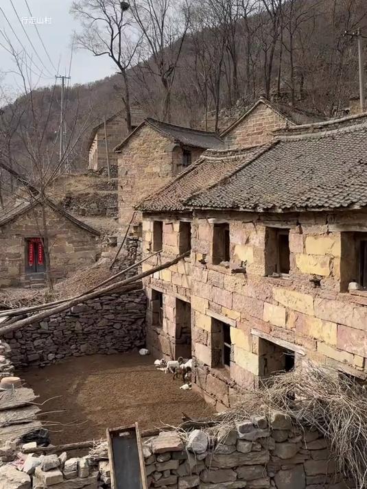 世上最好的放生,就是放过自己,不要和往事过不去