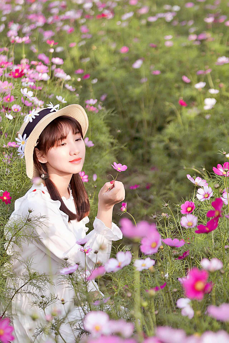 图片[14]-格桑花-六色网