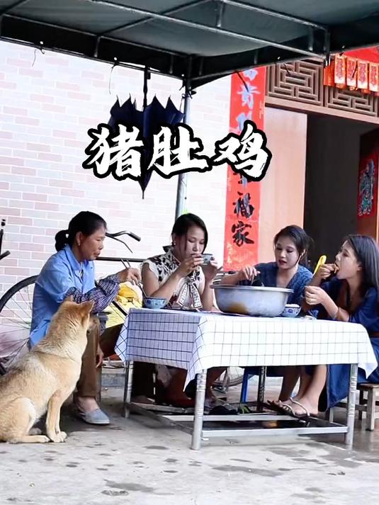 猪肚鸡 养了5年的老母鸡,用来煲个美味的猪肚鸡汤