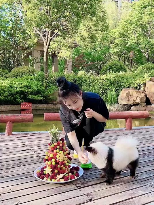 茅台：多巴胺水果蛋糕 你们学会了吗？