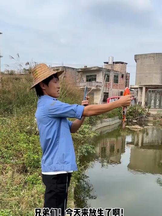 鱼:求求你,做个人吧!你不是要把我放生的吗