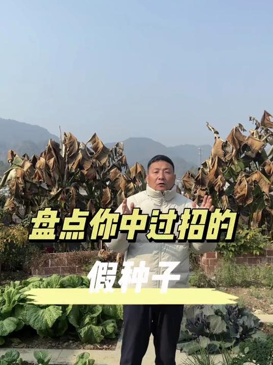 盘点你中过招的假种子，种子买不好，蔬菜长不好