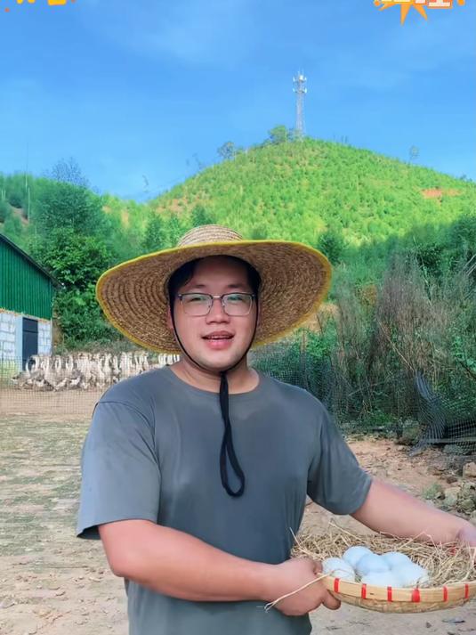 孕妇吃鹅蛋小孩吃鹅蛋都很好鹅蛋是个温性的食品比其他蛋类都适合