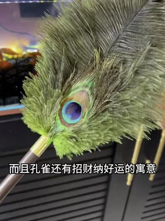 颜值又高又实用,挂在家里就是一件艺术品,太漂亮了