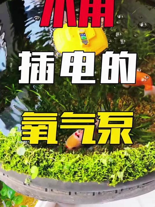 这种氧气泵太神奇了，不用插电就能给鱼缸打氧