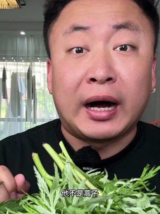 东北山野菜!