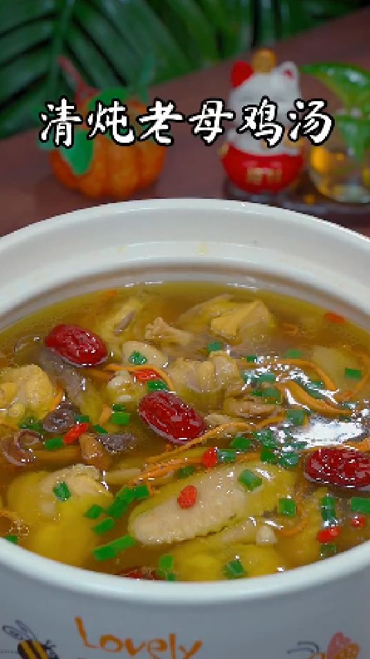 清炖老母鸡汤