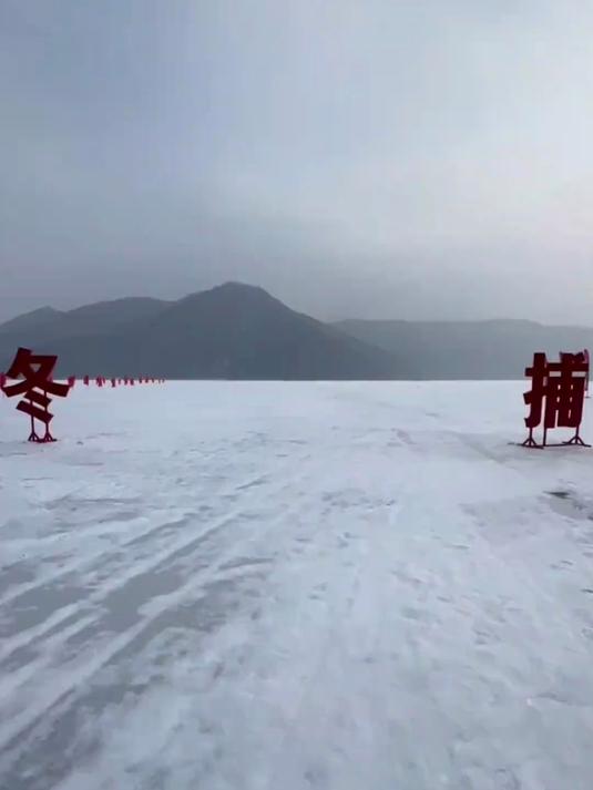 花3000元包3网！看看怎么样！东北冷水鱼是非常好吃的！