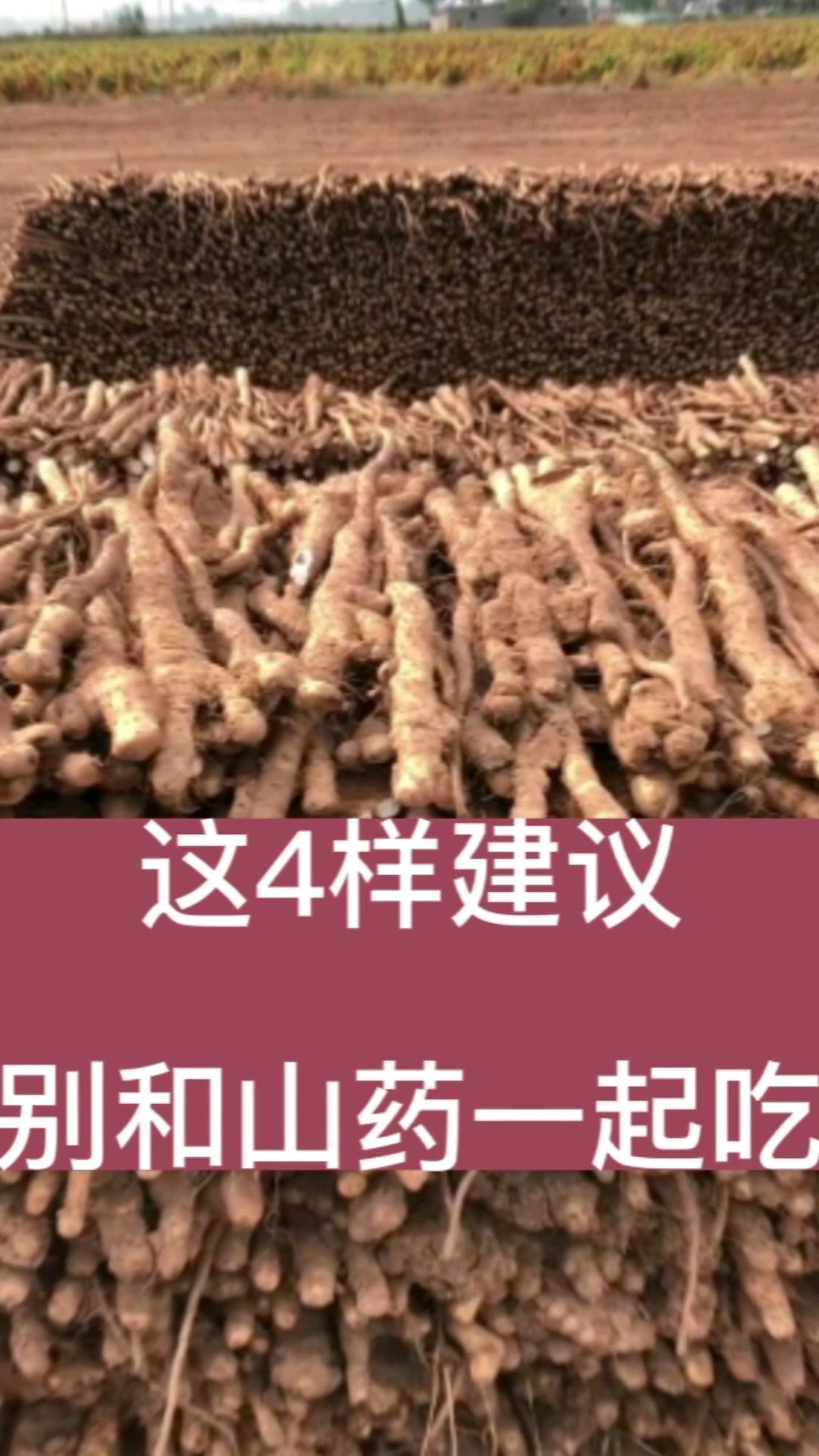 山药不能和这四样一起吃?
