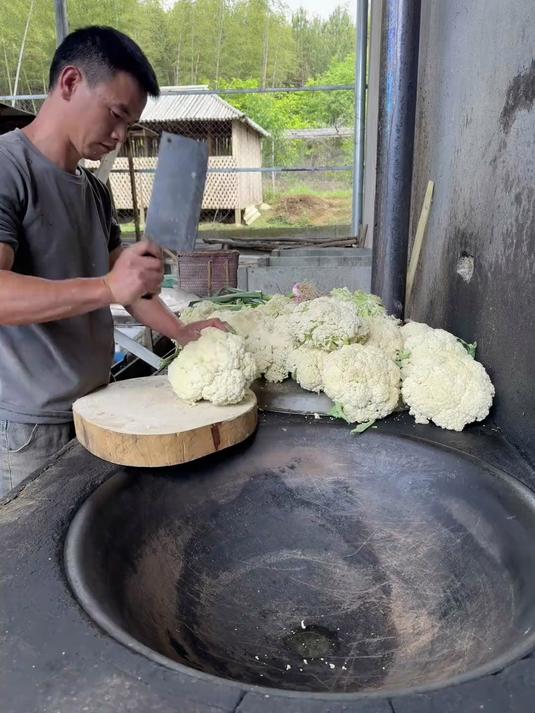 猪友们开饭了,今天花椰菜吃个够