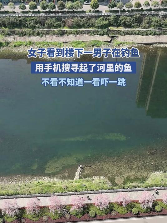 女子看到楼下一男子在钓鱼,于是用手机搜寻起了河里的鱼